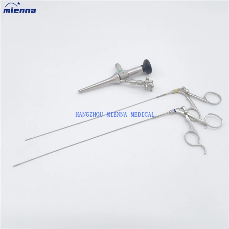 ENT Vet Double Channel Otoscope Veterinary Instruments Ear Endoscope With Fr5 Working Channel manufacturers